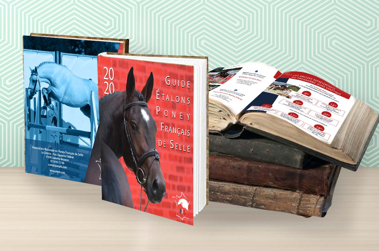 Formations  PAO Infographie  à Bourges, Moulins et Nevers 