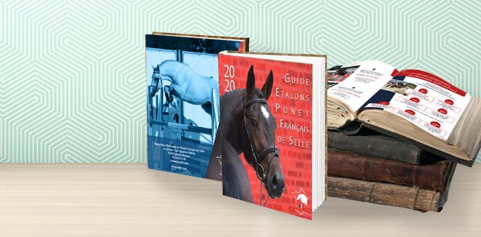 Formations PAO Infographie  à Bourges 18 